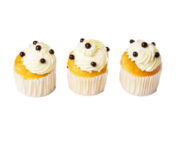 Mini Vanilla Cupcakes Plain