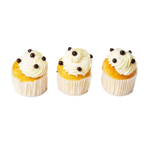 Mini Vanilla Cupcakes Plain